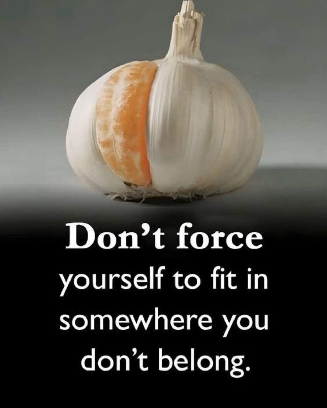 Don’t force yourself to fit in